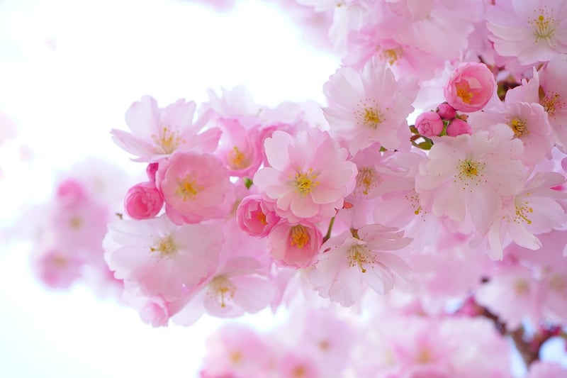 Delicate Mixes